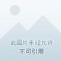 杨汉中
