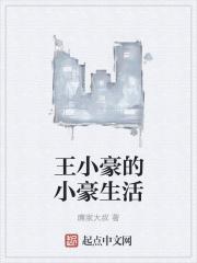 搜索王小豪