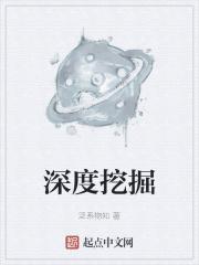 深度挖掘是什么意思