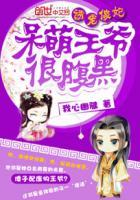 神医王妃痴傻王爷太腹黑