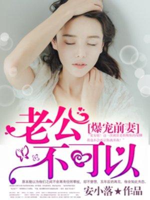 爆宠前妻 老公