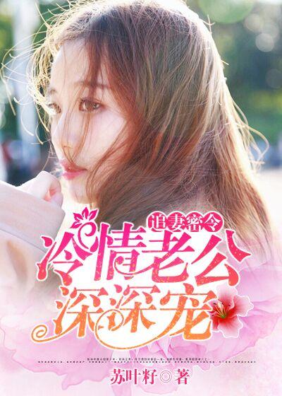 追妻成瘾老公求轻宠