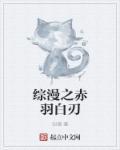 综漫之白羽无限