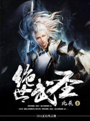 绝世武圣90后村长TXT