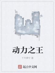 动力之王作者