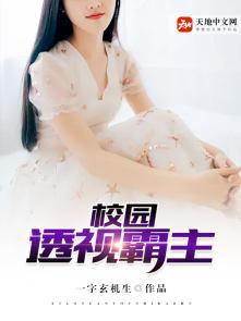 校园透视高手
