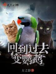 回到过去变鹦鹉的