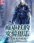 疯巫妖的实验日志是哪个游戏