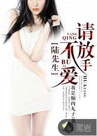 陆先生请爱我行不行