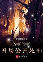 开局公开