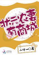 农门状元妻