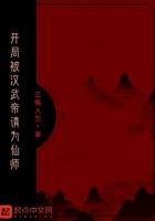 开局成了汉少帝