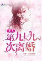 夫人的九十九次出逃