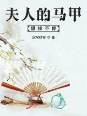 夫人的马甲数不清