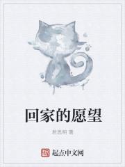 愿望的实现回家好句