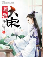 调教大宋精校txt