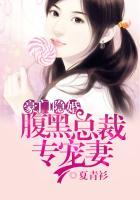 豪门隐婚:腹黑总裁专宠妻